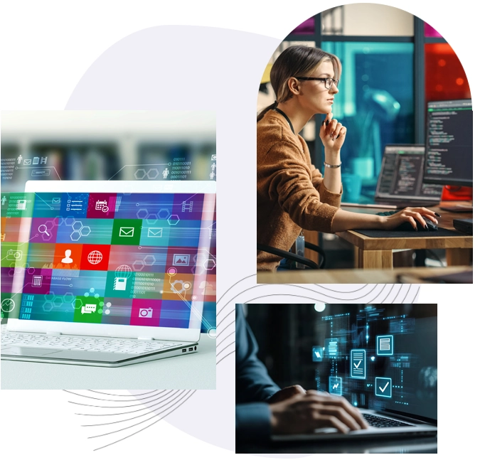 Il percorso del software
